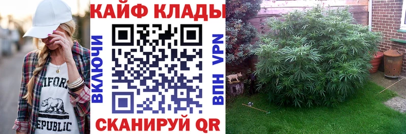 Виды наркоты Чадан Кокаин  A PVP  ГАШ  АМФ  Меф мяу мяу  Конопля 