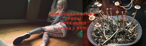 гидра Нягань