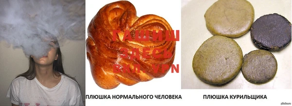 гидра Пионерский
