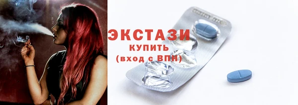 гидра Пионерский