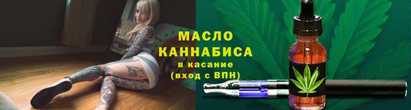 гидра Пионерский