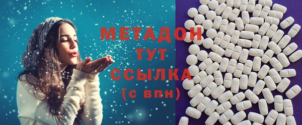 гидра Пионерский