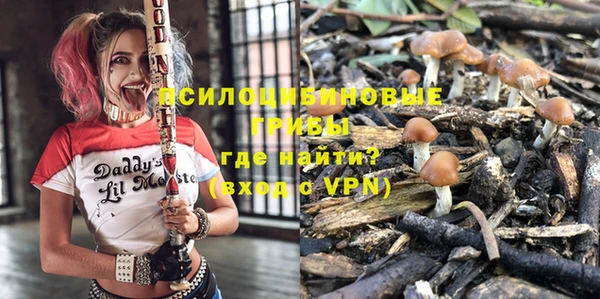 гидра Нягань