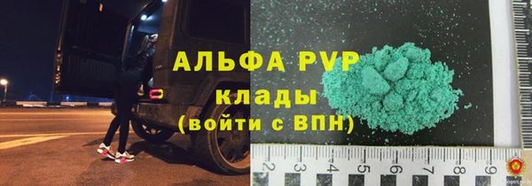 гидра Пионерский