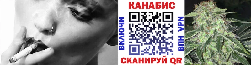 наркошоп Чадан Бошки Шишки сатива